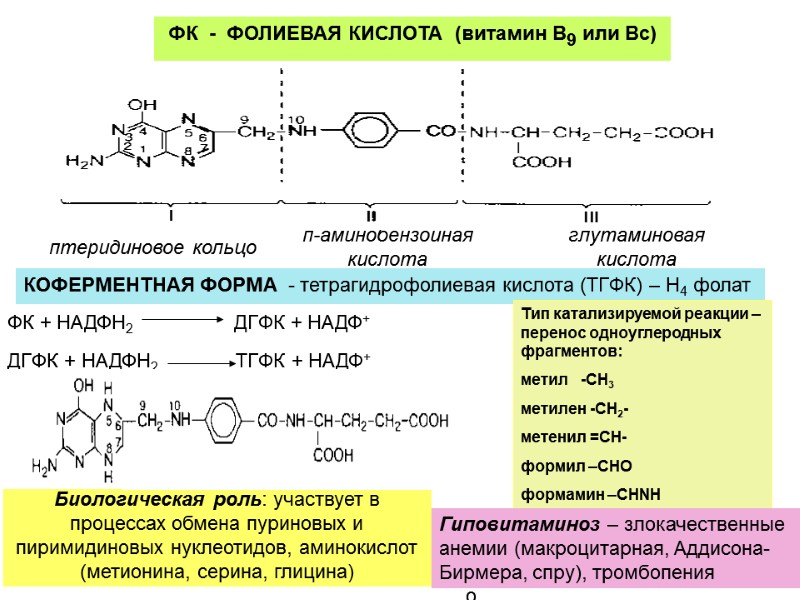ФК + НАДФН2 ФК + НАДФН2